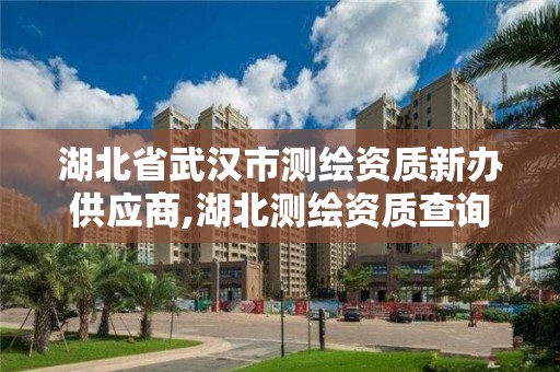 湖北省武汉市测绘资质新办供应商,湖北测绘资质查询。