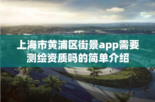 上海市黄浦区街景app需要测绘资质吗的简单介绍