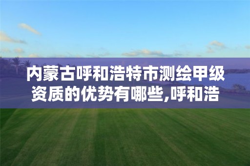 内蒙古呼和浩特市测绘甲级资质的优势有哪些,呼和浩特测绘局电话。 内蒙古呼和浩特市测绘甲级资质的优势有哪些,呼和浩特测绘局电话。
