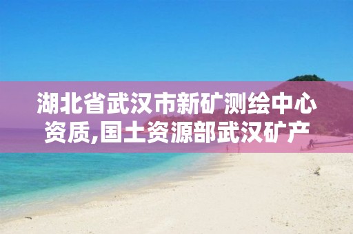 湖北省武汉市新矿测绘中心资质,国土资源部武汉矿产资源监督检测中心。