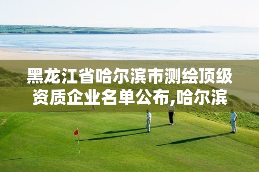 黑龙江省哈尔滨市测绘顶级资质企业名单公布,哈尔滨测绘公司招聘。 黑龙江省哈尔滨市测绘顶级资质企业名单公布,哈尔滨测绘公司招聘。