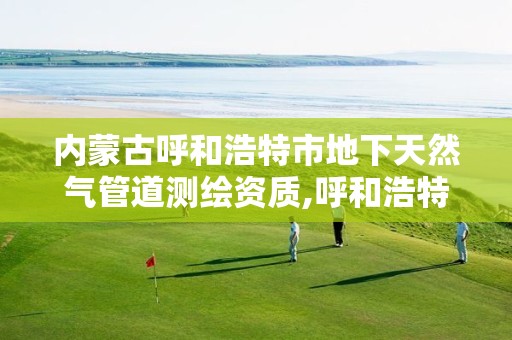 内蒙古呼和浩特市地下天然气管道测绘资质,呼和浩特天然气安装。