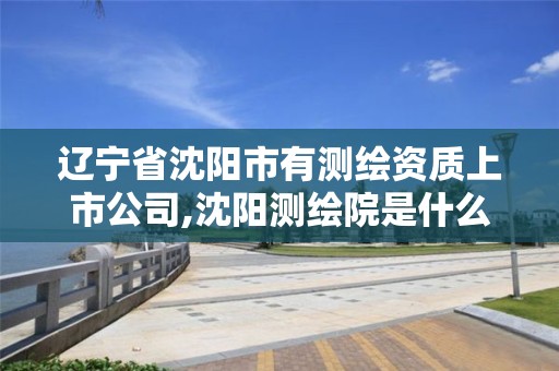辽宁省沈阳市有测绘资质上市公司,沈阳测绘院是什么单位。