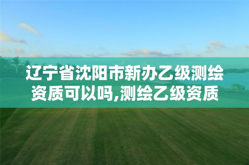 辽宁省沈阳市新办乙级测绘资质可以吗,测绘乙级资质能不能做省外的项目。