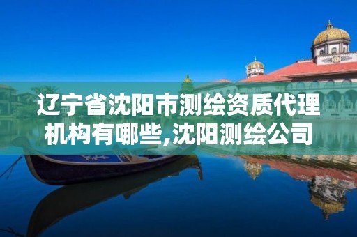 辽宁省沈阳市测绘资质代理机构有哪些,沈阳测绘公司哪家强哪家好。