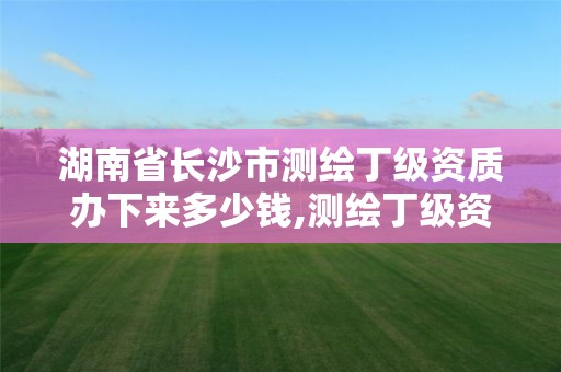 湖南省长沙市测绘丁级资质办下来多少钱,测绘丁级资质条件。