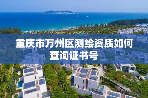 重庆市万州区测绘资质如何查询证书号