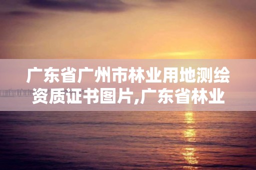 广东省广州市林业用地测绘资质证书图片,广东省林业规划设计公司。