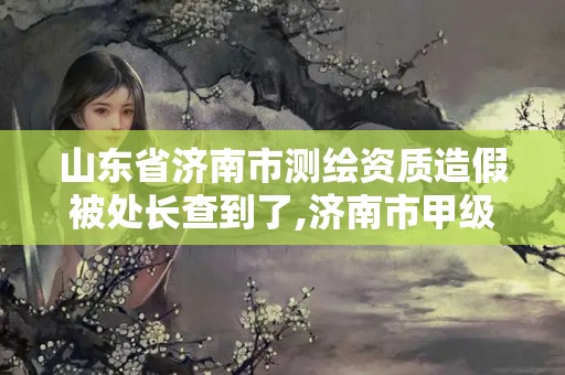 山东省济南市测绘资质造假被处长查到了,济南市甲级测绘资质单位。