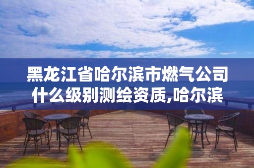 黑龙江省哈尔滨市燃气公司什么级别测绘资质,哈尔滨燃气工程公司。 黑龙江省哈尔滨市燃气公司什么级别测绘资质,哈尔滨燃气工程公司。