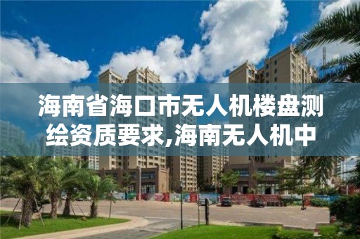 海南省海口市无人机楼盘测绘资质要求,海南无人机中标公司。