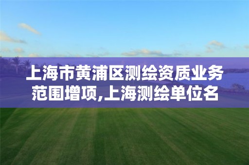 上海市黄浦区测绘资质业务范围增项,上海测绘单位名单。