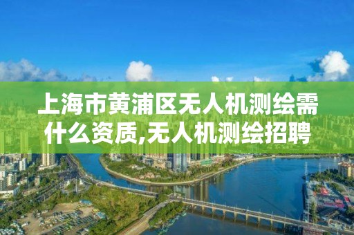 上海市黄浦区无人机测绘需什么资质,无人机测绘招聘公告。