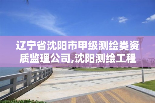 辽宁省沈阳市甲级测绘类资质监理公司,沈阳测绘工程。