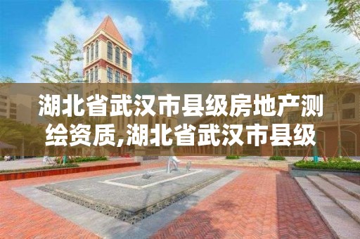 湖北省武汉市县级房地产测绘资质,湖北省武汉市县级房地产测绘资质有哪些。