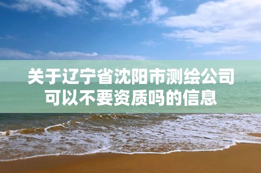 关于辽宁省沈阳市测绘公司可以不要资质吗的信息