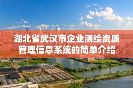 湖北省武汉市企业测绘资质管理信息系统的简单介绍