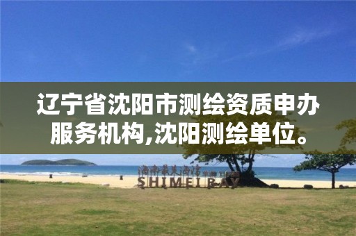 辽宁省沈阳市测绘资质申办服务机构,沈阳测绘单位。