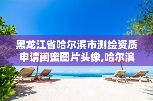 黑龙江省哈尔滨市测绘资质申请闺蜜图片头像,哈尔滨测绘局怎么样。