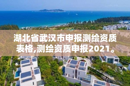 湖北省武汉市申报测绘资质表格,测绘资质申报2021。