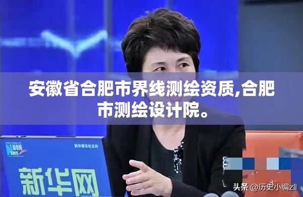 安徽省合肥市界线测绘资质,合肥市测绘设计院。