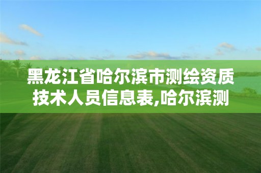 黑龙江省哈尔滨市测绘资质技术人员信息表,哈尔滨测绘局招聘信息。