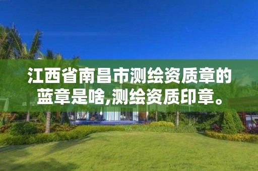 江西省南昌市测绘资质章的蓝章是啥,测绘资质印章。