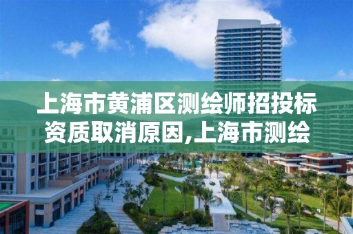 上海市黄浦区测绘师招投标资质取消原因,上海市测绘资质单位名单。