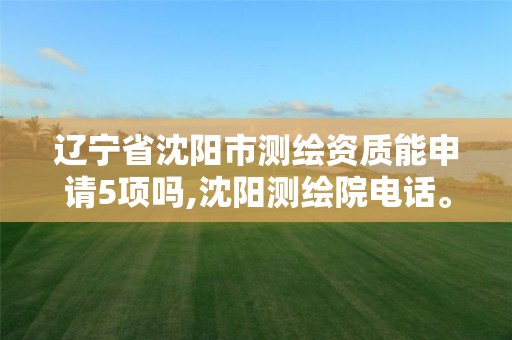 辽宁省沈阳市测绘资质能申请5项吗,沈阳测绘院电话。