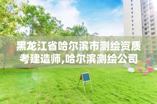 黑龙江省哈尔滨市测绘资质考建造师,哈尔滨测绘公司有哪些。