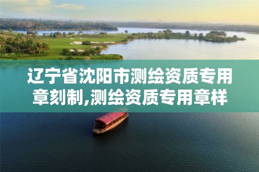 辽宁省沈阳市测绘资质专用章刻制,测绘资质专用章样式。