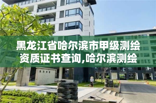 黑龙江省哈尔滨市甲级测绘资质证书查询,哈尔滨测绘院地址。