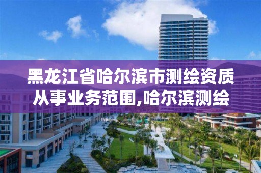 黑龙江省哈尔滨市测绘资质从事业务范围,哈尔滨测绘公司有哪些。