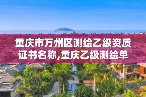 重庆市万州区测绘乙级资质证书名称,重庆乙级测绘单位。