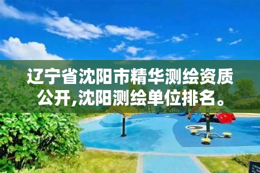 辽宁省沈阳市精华测绘资质公开,沈阳测绘单位排名。