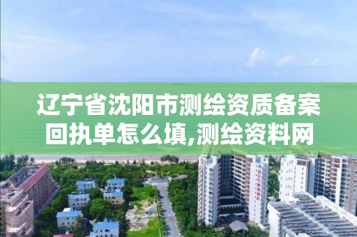 辽宁省沈阳市测绘资质备案回执单怎么填,测绘资料网上备案。