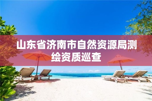 山东省济南市自然资源局测绘资质巡查