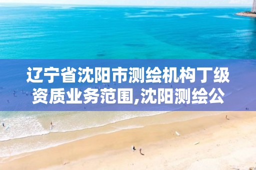 辽宁省沈阳市测绘机构丁级资质业务范围,沈阳测绘公司哪家强哪家好。