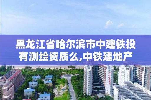 黑龙江省哈尔滨市中建铁投有测绘资质么,中铁建地产哈尔滨。 黑龙江省哈尔滨市中建铁投有测绘资质么,中铁建地产哈尔滨。