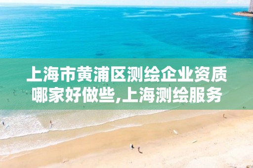 上海市黄浦区测绘企业资质哪家好做些,上海测绘服务中心。
