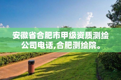 安徽省合肥市甲级资质测绘公司电话,合肥测绘院。