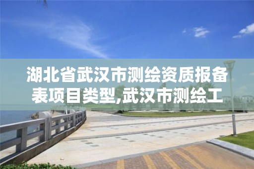 湖北省武汉市测绘资质报备表项目类型,武汉市测绘工程技术规定。