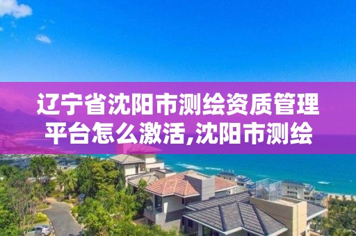 辽宁省沈阳市测绘资质管理平台怎么激活,沈阳市测绘管理办公室。