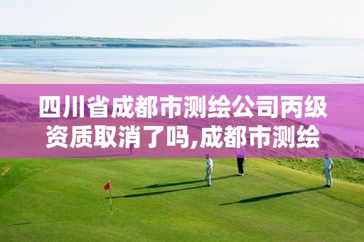 四川省成都市测绘公司丙级资质取消了吗,成都市测绘管理办法。