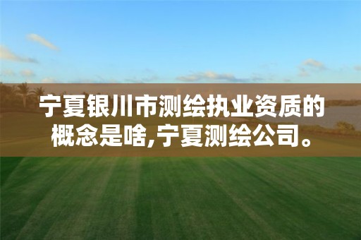 宁夏银川市测绘执业资质的概念是啥,宁夏测绘公司。