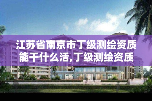 江苏省南京市丁级测绘资质能干什么活,丁级测绘资质能承担的业务。