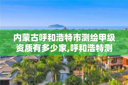 内蒙古呼和浩特市测绘甲级资质有多少家,呼和浩特测绘公司排名。 内蒙古呼和浩特市测绘甲级资质有多少家,呼和浩特测绘公司排名。