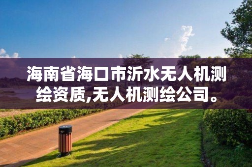 海南省海口市沂水无人机测绘资质,无人机测绘公司。