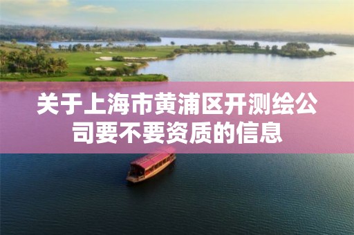 关于上海市黄浦区开测绘公司要不要资质的信息