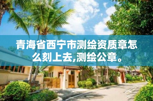 青海省西宁市测绘资质章怎么刻上去,测绘公章。
